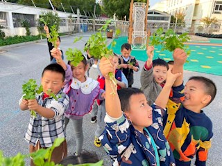 户外活动